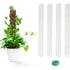 4 Pcs 24 Inch Plastic Moss Poles for – D-Shaped Plant Support for Climbing Vines, Compatible with Sphagnum Moss