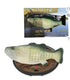 Singing Fish Decoration - Green with Square Base