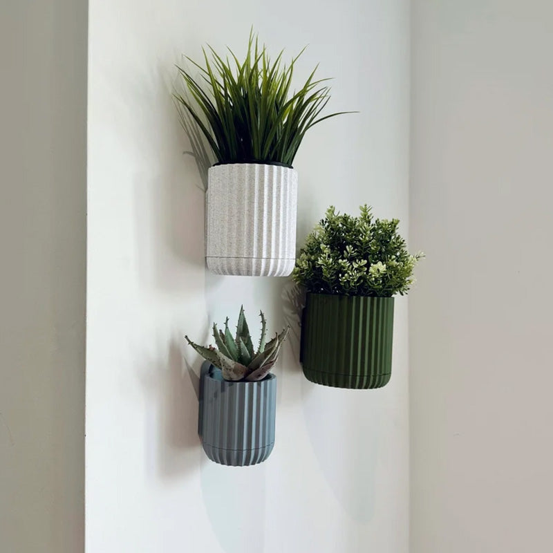 Home & Garden - Collection