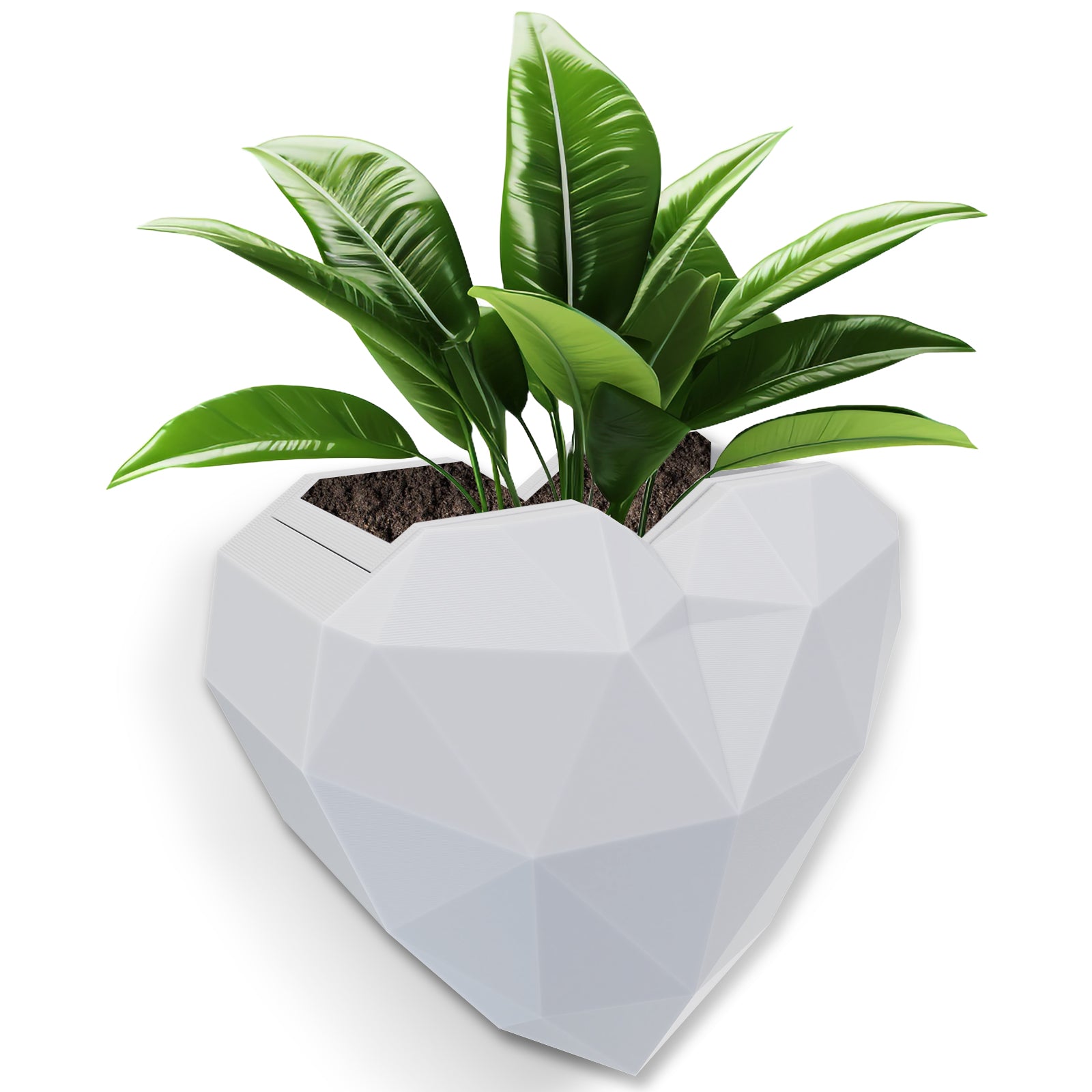 Wall Mounted Planter - NO DRILLING,Houseplant Wall Display Ideas,3D Printed Wall Planter with Drainage Tray