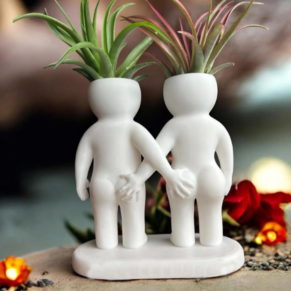 Funny Couple Air Plant Holder - Cheeky Anniversary Gift