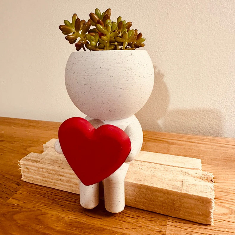 Home Decor Succulent Air Planter Stand,Air Plant holder, Air Plant Lover Gift  Desk Decor