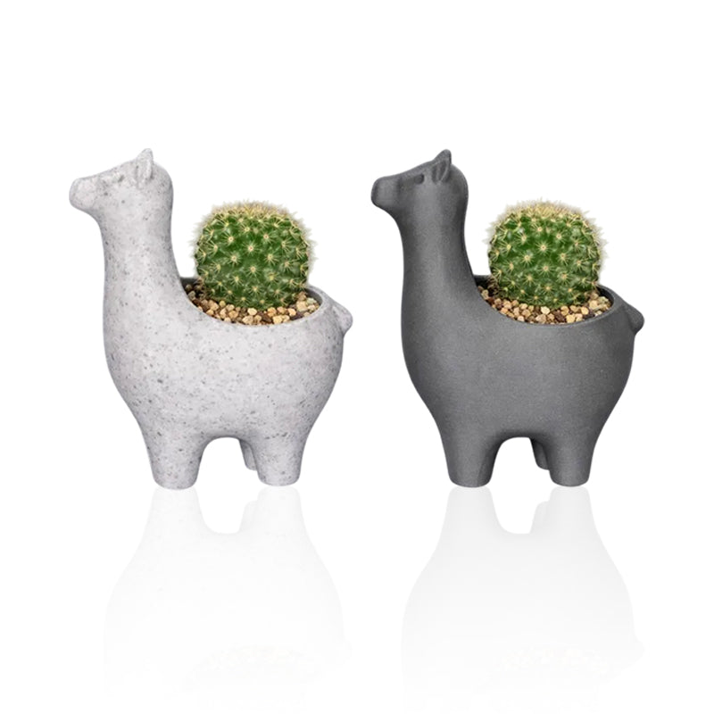 Interesting marble-colored alpaca planter, suitable for planting succulents, cacti, and small indoor plants; a versatile planter for both indoor and outdoor use.