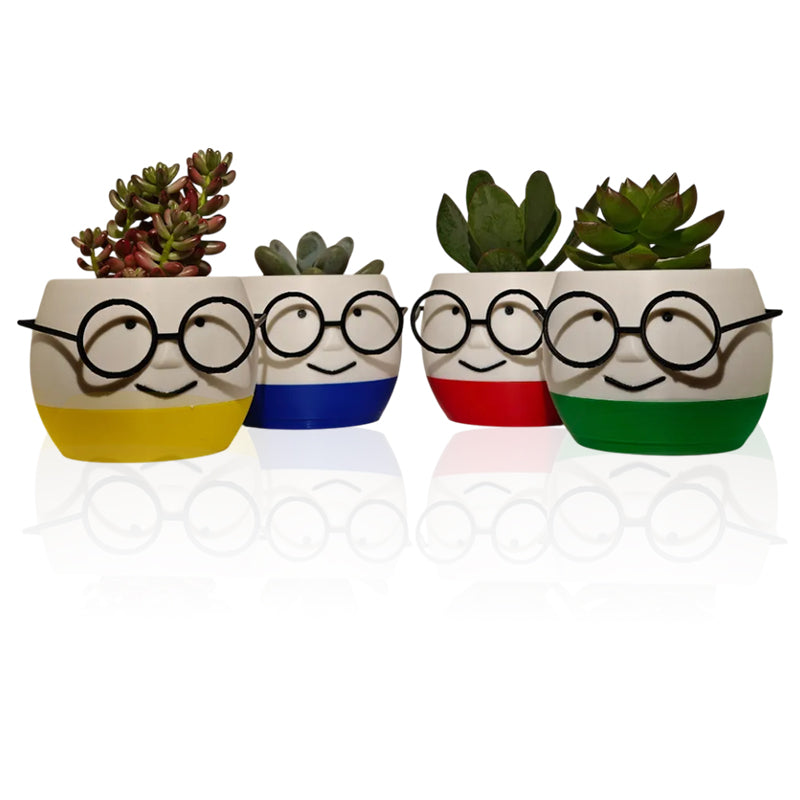 Home & Garden - Collection