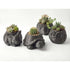 3D printed animal flower pots suitable for home and garden. Gray owl single piece.