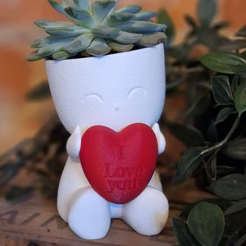 Valentine's Day Mini Flower Pot - Heart-Shaped Succulent (White and Red)