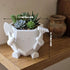 3D Printed Smiling Gardener (White)