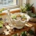 3D-printed coastal coral and clam shell succulent planter pot, white