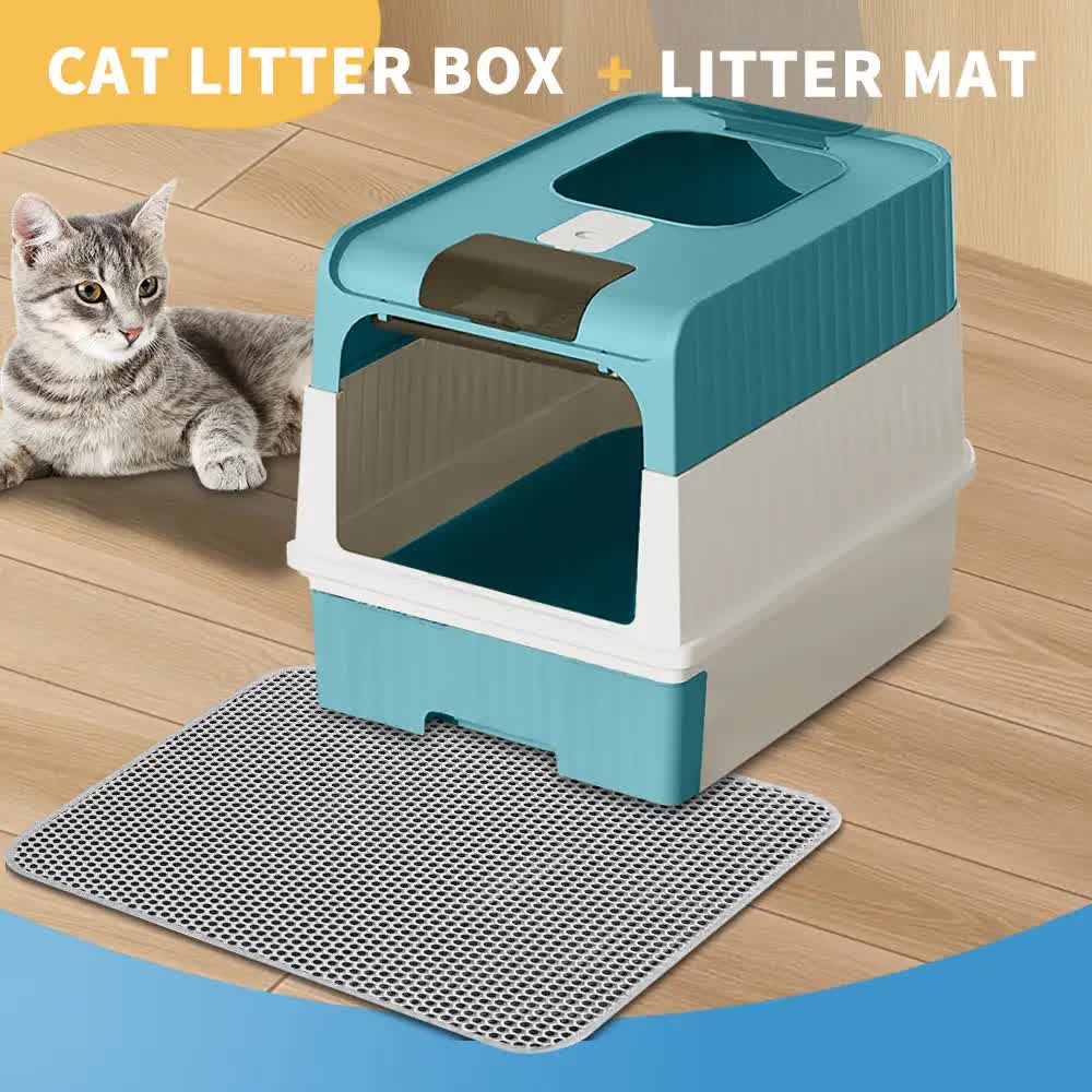 CAT-BLUE-MAT
