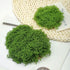 diy artificial moss lawn-Dark Green Filamentous Moss 1000g (Bulk)