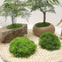 diy artificial moss lawn-Light Green Filamentous Moss 200g