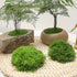 diy artificial moss lawn-New moss (light green thread style) 1m × 1m
