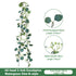 Eucalyptus Aquatic Vine - 60 Heads 2 Forks - N