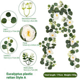 Eucalyptus Rattan - 36 Heads-A
