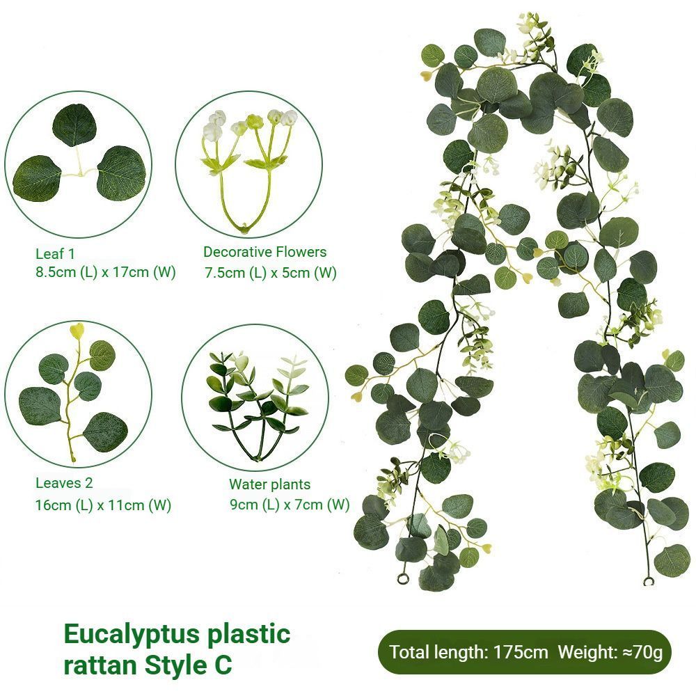 Eucalyptus Rattan - 36 Heads-C