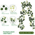 Eucalyptus Rattan - 36 Heads-C