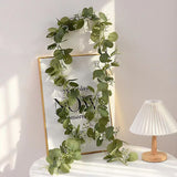 Eucalyptus Rattan-48 Heads Three-forked With Fruits