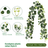 Eucalyptus Rattan - 60 Heads-D