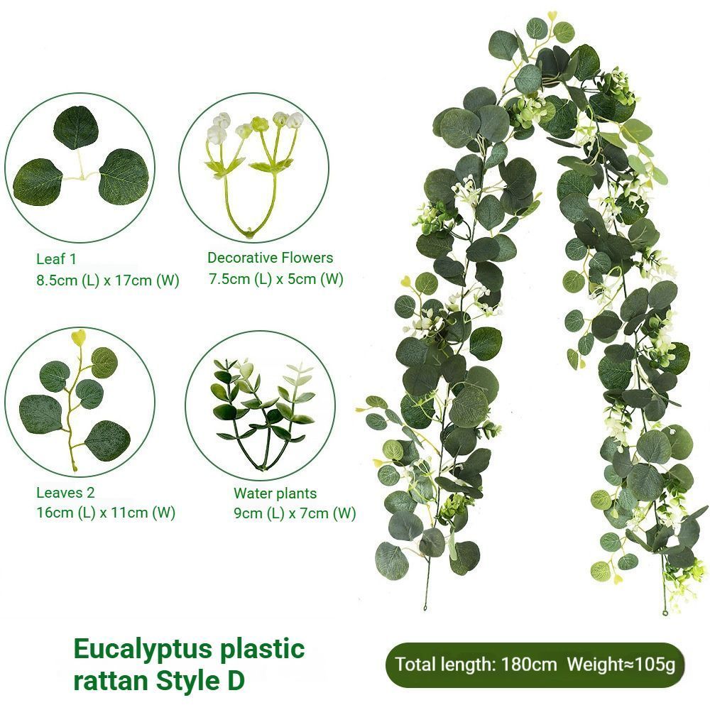 Eucalyptus Rattan - 60 Heads-D