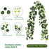 Eucalyptus Rattan - 60 Heads-D