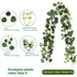Eucalyptus Rattan - 60 Heads