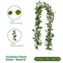 Eucalyptus with Flowers - 61 Heads-M