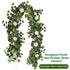 Eucalyptus with Flowers - 72 Heads-B