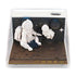 Exploring Space Astronauts