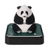 Panoramic Panda Sticky Notes with Light