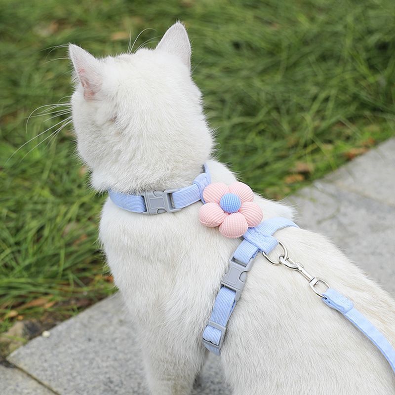 Pet Harness-Blue+1.8m Leash+Size S