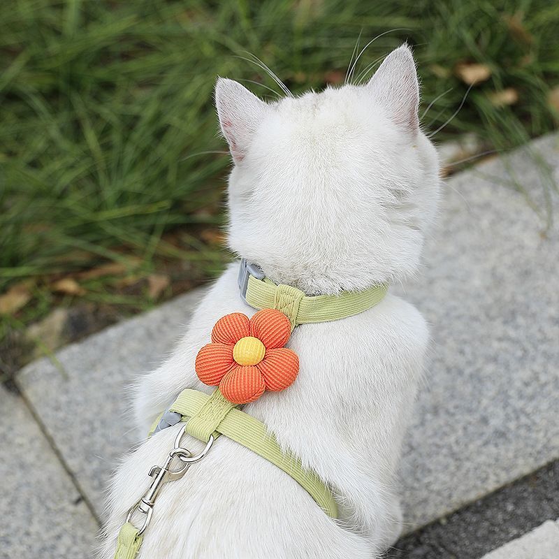 Pet Harness-green+1.8m Leash+Size S