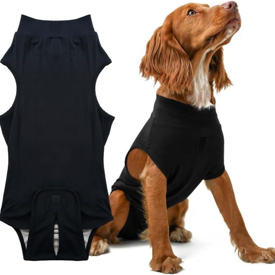 Pet physiological pants-XXL