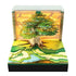 Tree Dwelling Companion Battery Powered