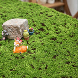 Artificial Moss Turf  100cm×50cm 03