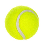 6-Pack 2inch Yellow Dog Tennis Balls