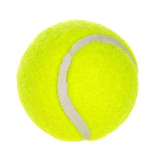 6-Pack 2inch Yellow Dog Tennis Balls