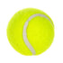 6-Pack 2inch Yellow Dog Tennis Balls