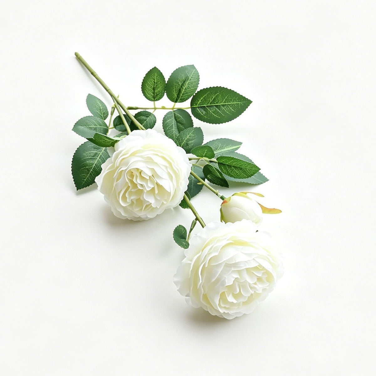 Artificial White French Peony, Soft Decor, 5 Pack