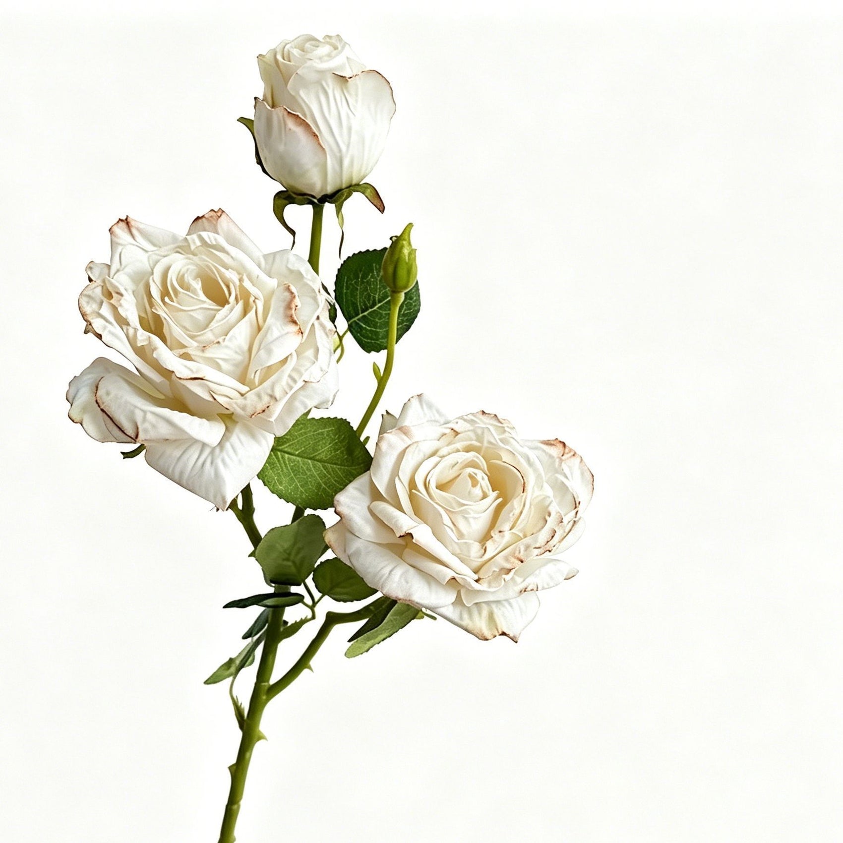 Vintage Burnt Edge Artificial Rose, Pure White Soft Decor, 3 Pack