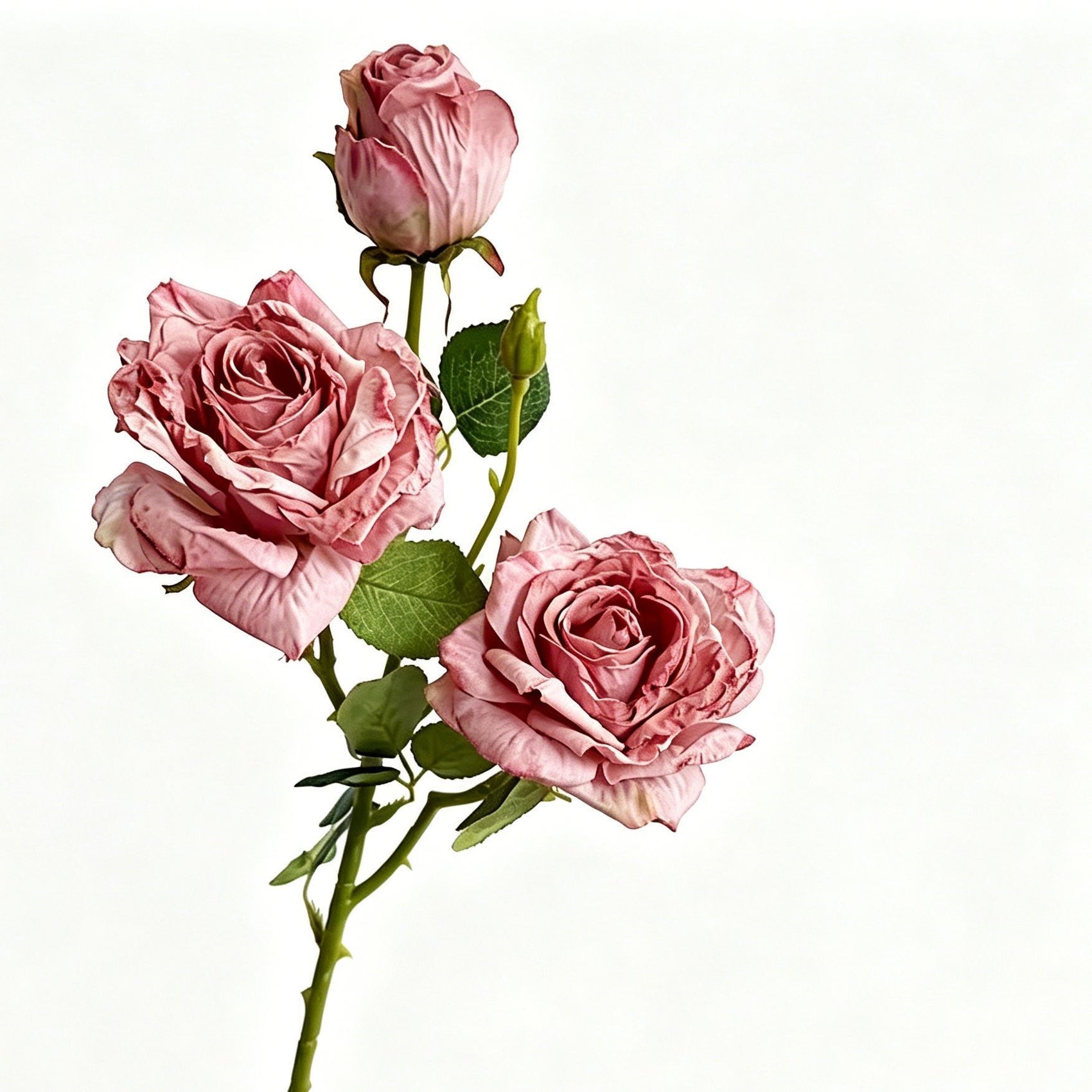 Vintage Burnt Edge Artificial Rose, Pink Sweet Decor, 5 Pack