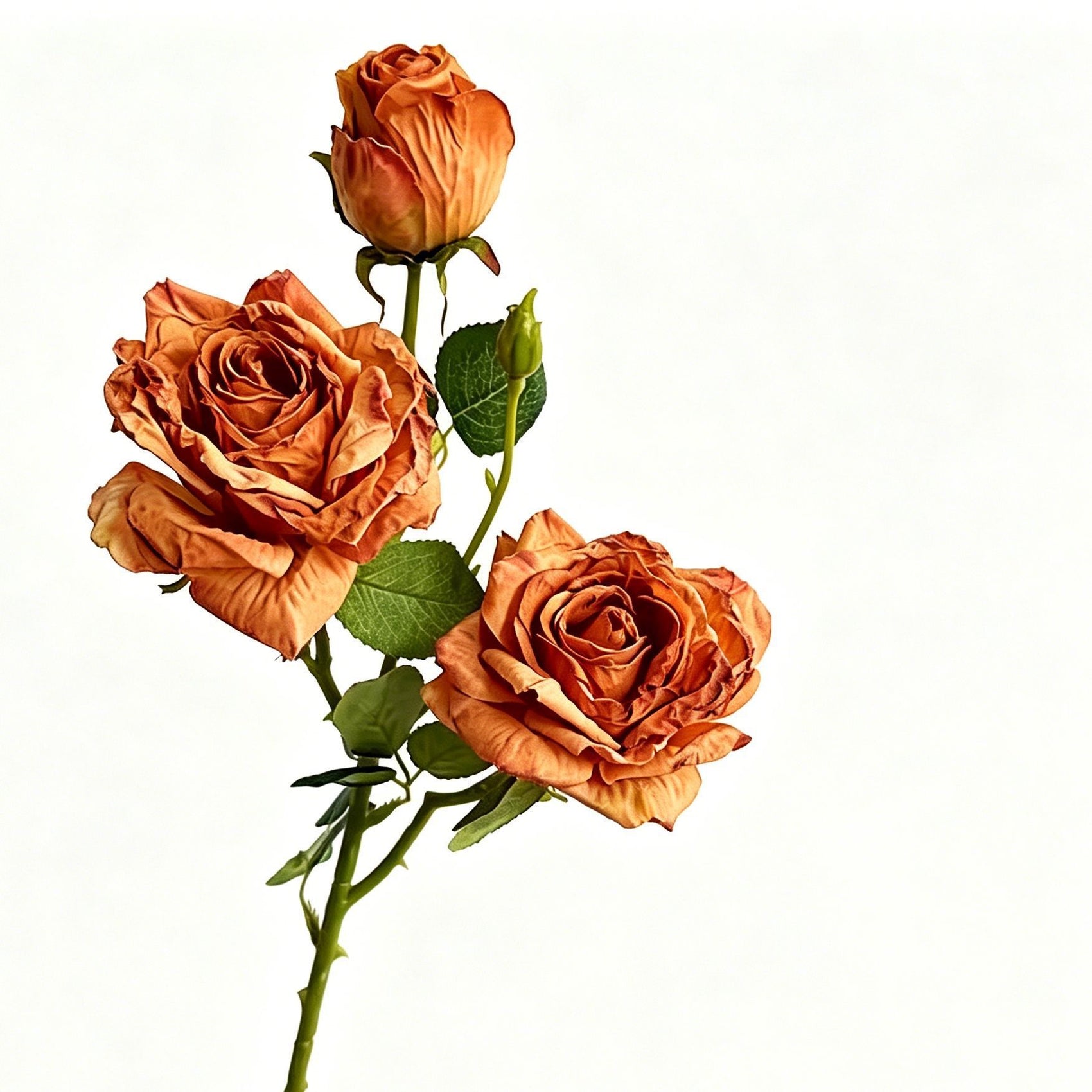 Vintage Burnt Edge Artificial Rose, Orange Warm Decor, 3 Pack