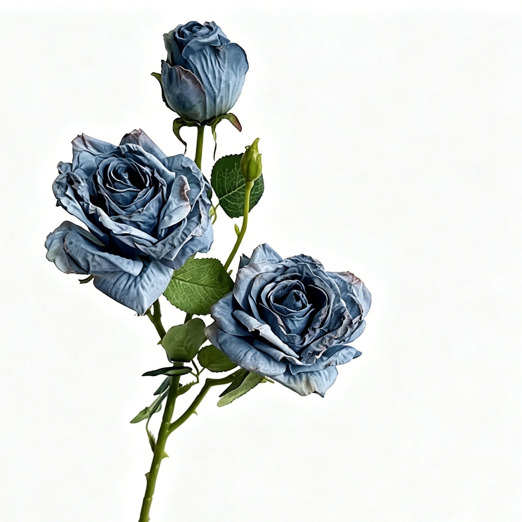 Vintage Burnt Edge Artificial Rose, Blue Calming Decor, 3 Pack