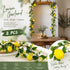 Fragrant Blossom Lemon Water Grass Vine Hanging Garland Set of 2