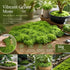 Light Green Artificial String Moss Fairy Garden Filler 50g