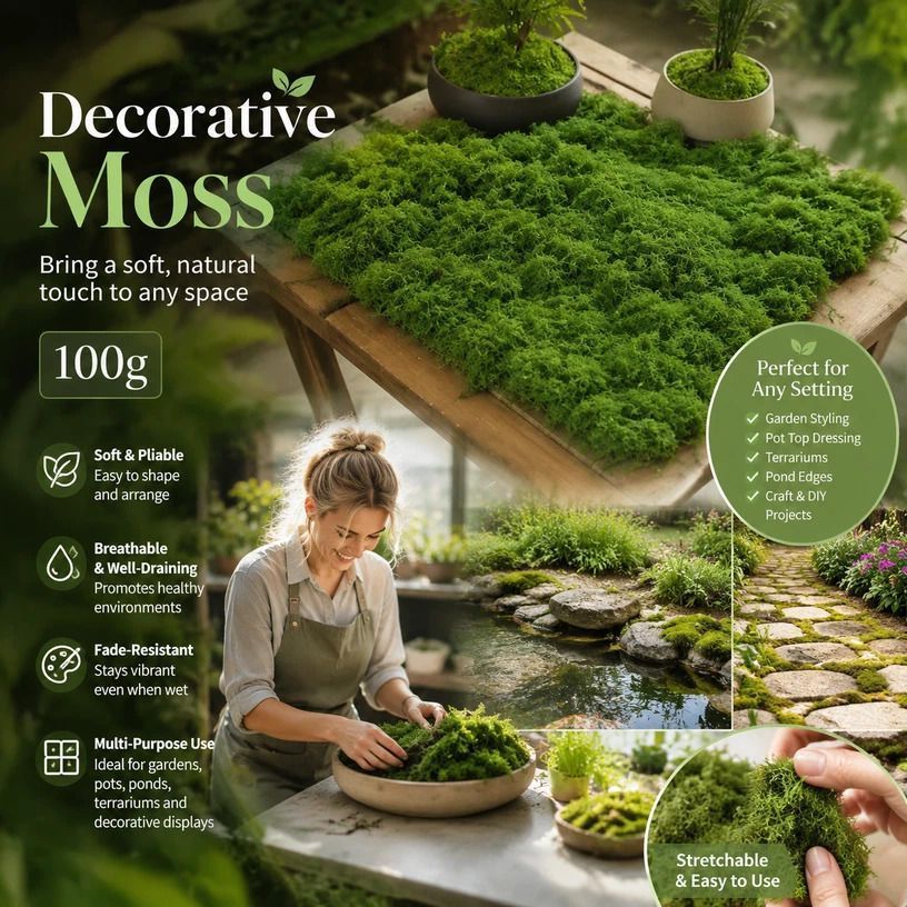 Dark Green Preserved String Moss Indoor Plant Pot Top Dressing 100g