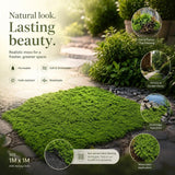 Light Green Preserved Moss Sheet With Fabric Backing 1m脳1m Patio Decor