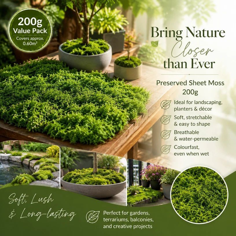 Light Green Bulk Preserved String Moss Terrarium Decor 200g