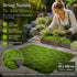 Dark Green Moss Pad With Base Cloth 50cm脳100cm Indoor Landscape Ornament