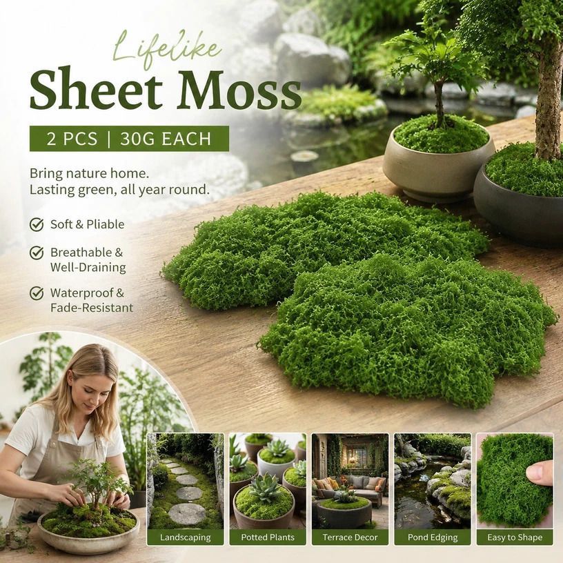 Dark Green Preserved String Moss Bonsai Top Dressing Kit Set of 2 Bags 30g Each