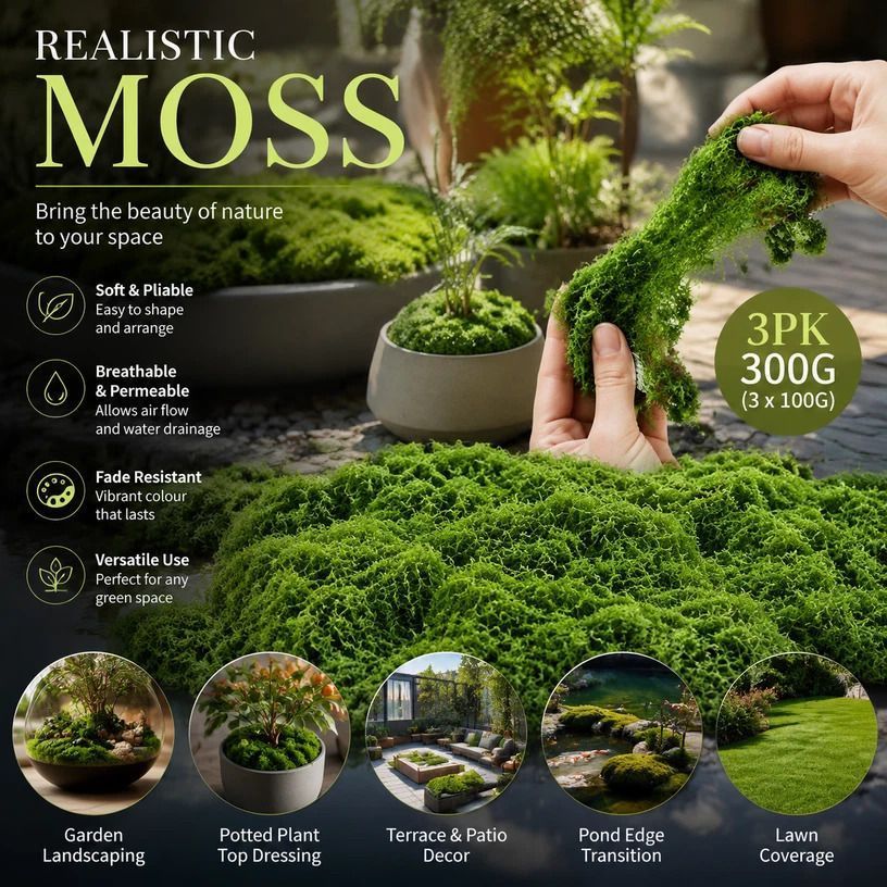 Dark Green String Moss Indoor Plant Decor Set of 3 Bags 100g